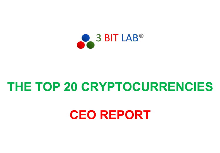 Top 20 Cryptocurrencies Report